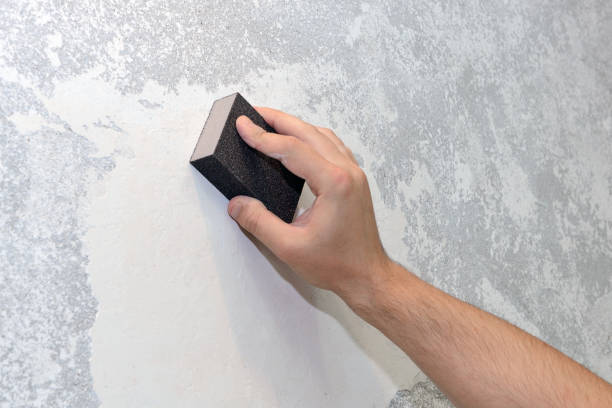 Best Comprehensive Air Testing for Mold Contaminants  in Riverview, MI