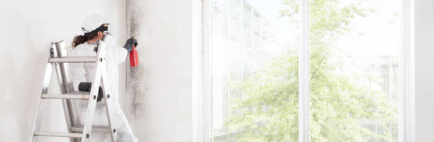 Best Environmental Consulting for Mold Prevention  in Riverview, MI