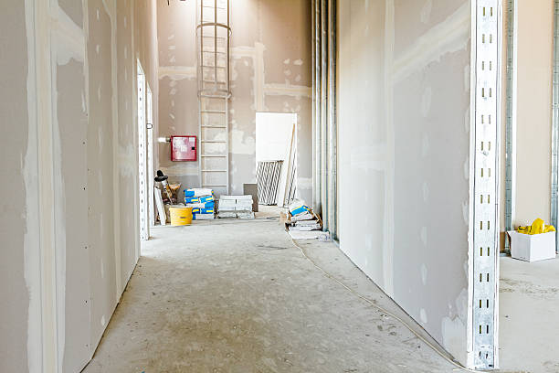 Best Mold Prevention Services  in Riverview, MI